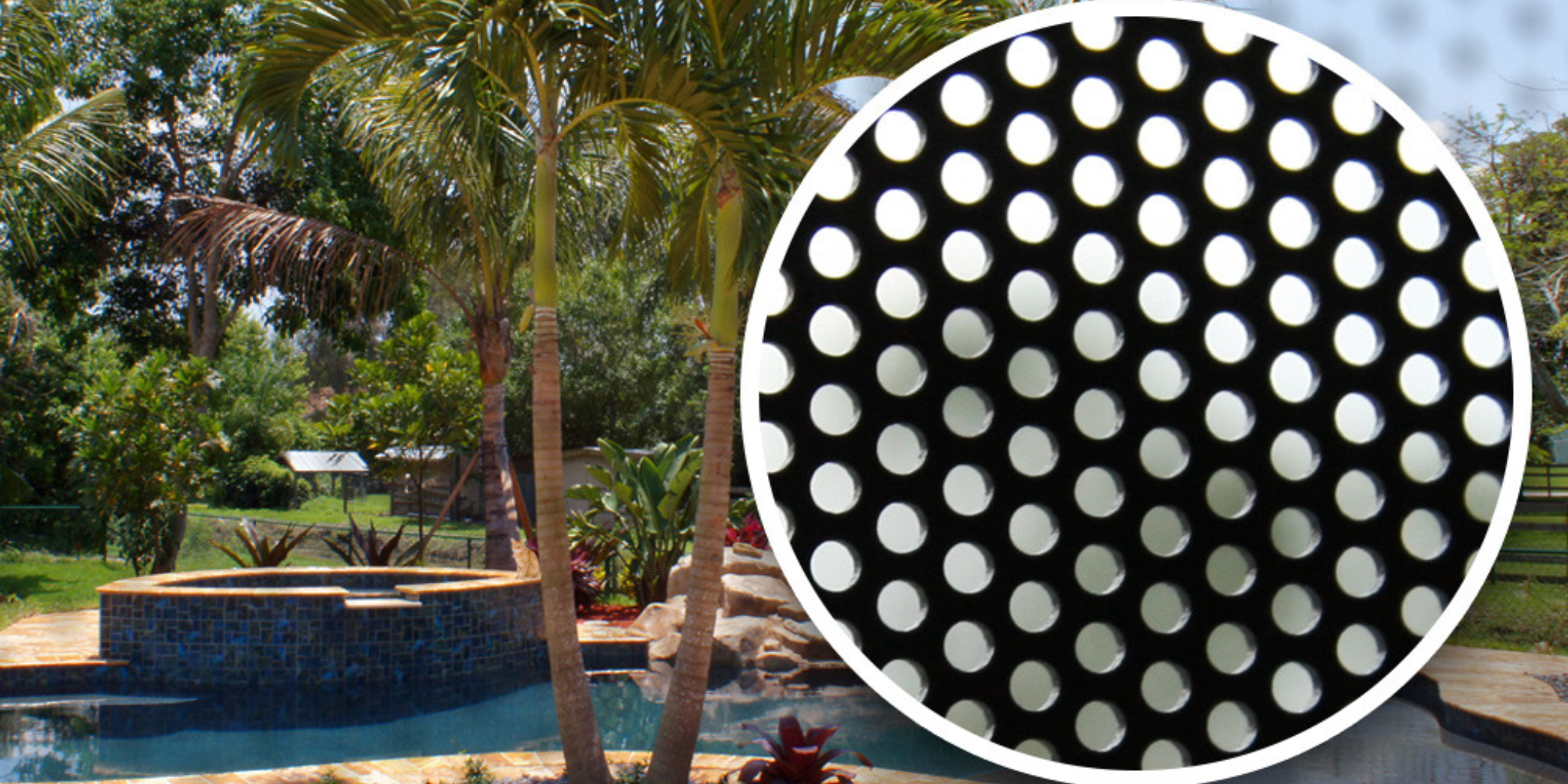 Security screen door with mesh providing protection and visibility
