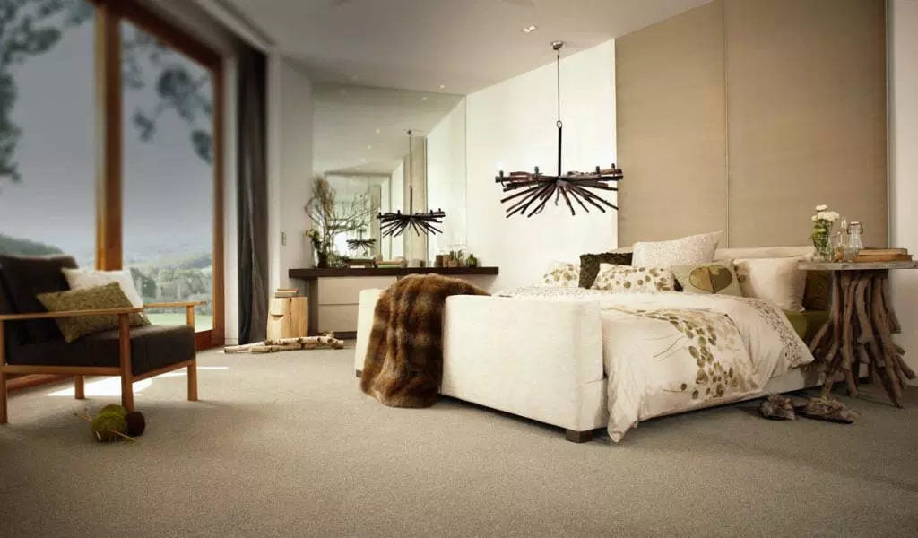 Carpet flooring in living room creating a warm and comfortable interior space